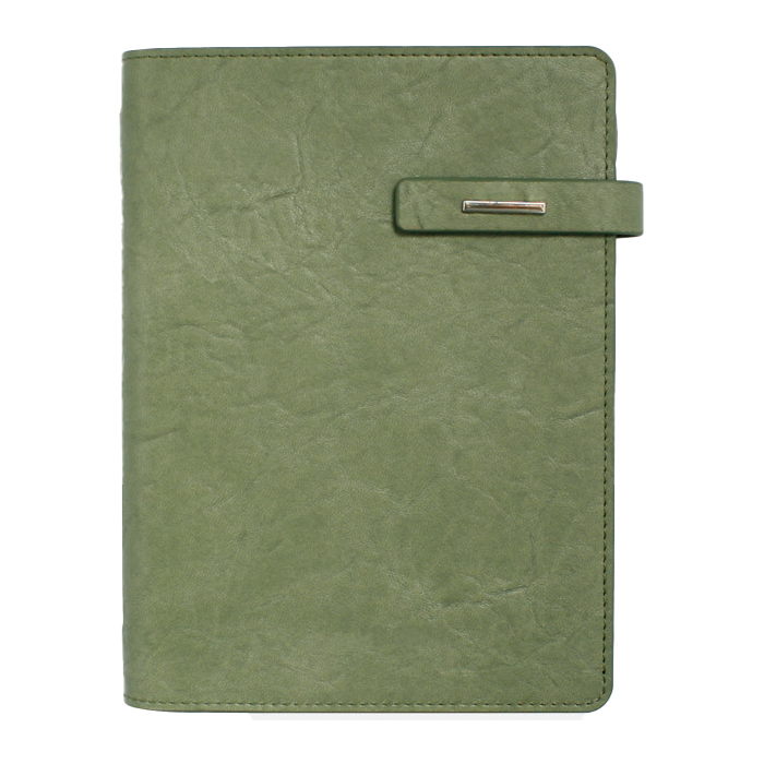 뉴벨라 그린 시스템