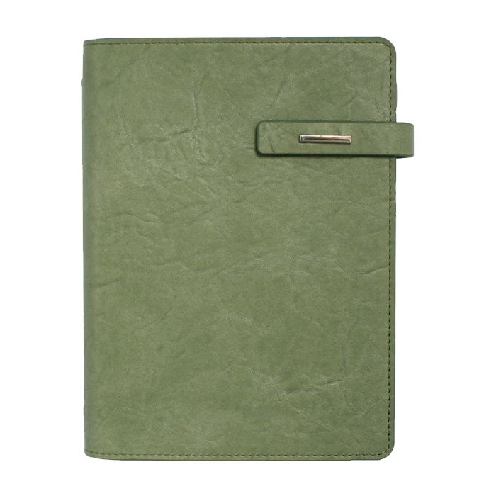 뉴벨라링크 그린 특안식