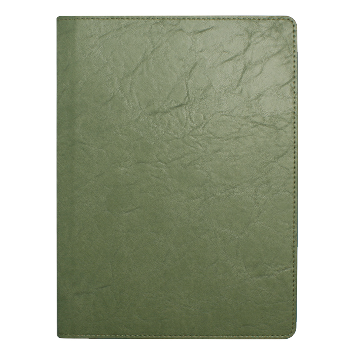 뉴벨라 그린 특안식