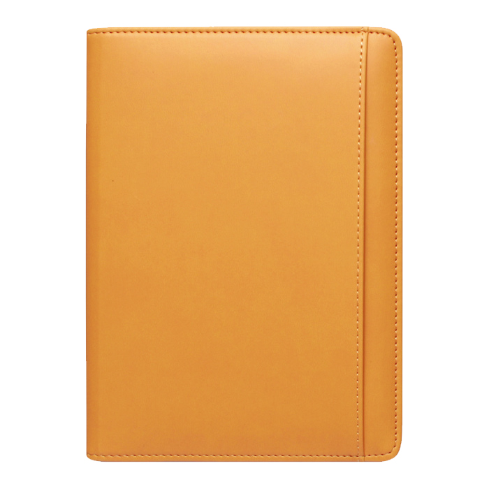 스타 옐로우 특안식