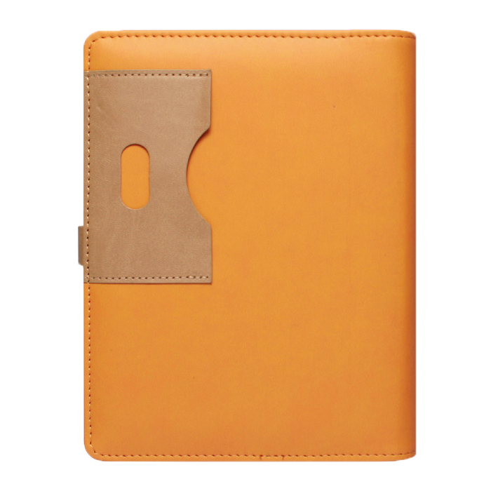 스타 블루 시스템