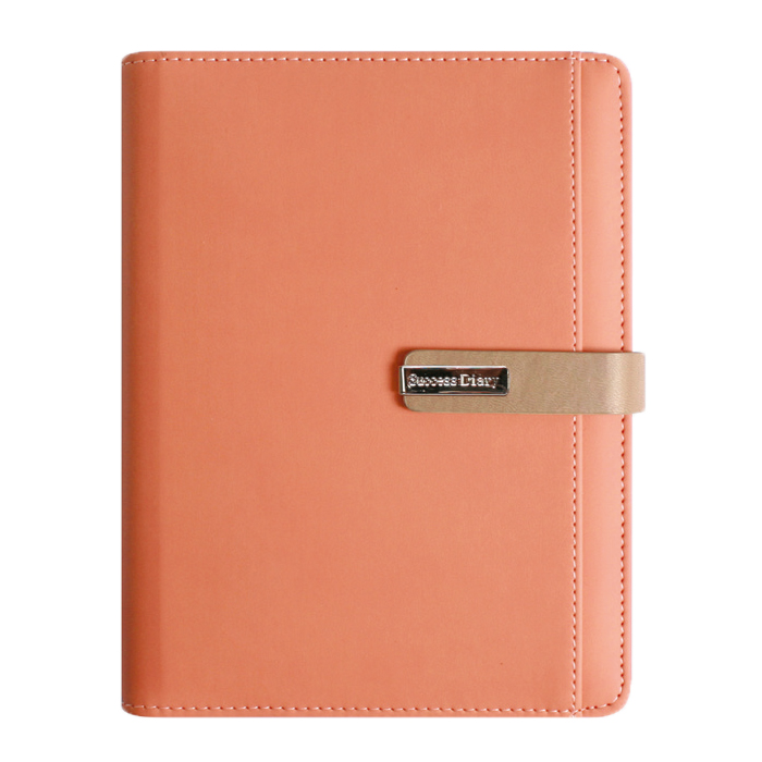 스타 캐롯 시스템