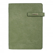 뉴벨라 그린 시스템