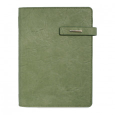 뉴벨라 그린 시스템