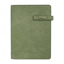 뉴벨라링크 그린 특안식