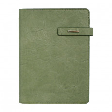 뉴벨라링크 그린 특안식