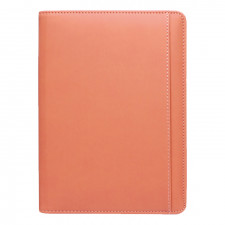 스타 캐롯 특안식