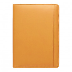 스타 옐로우 특안식