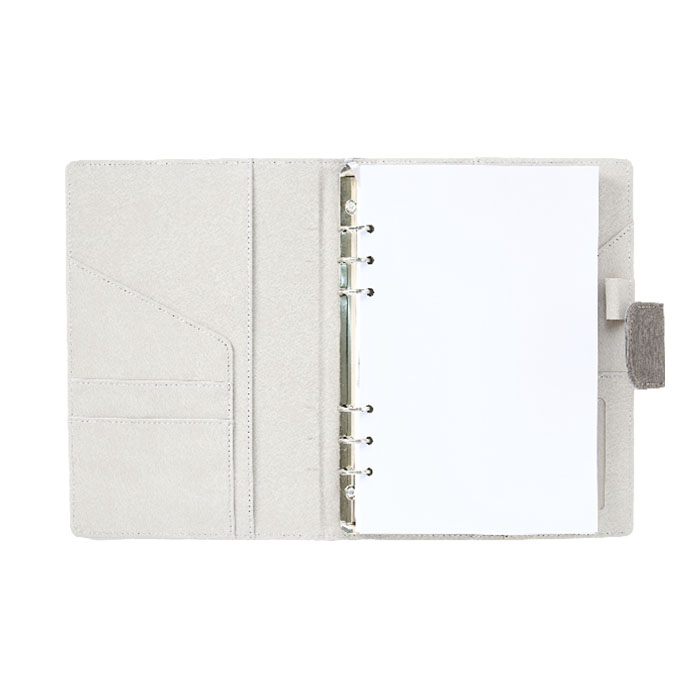 비오 브라운 자석시스템