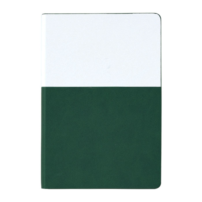 노아 그린 양장